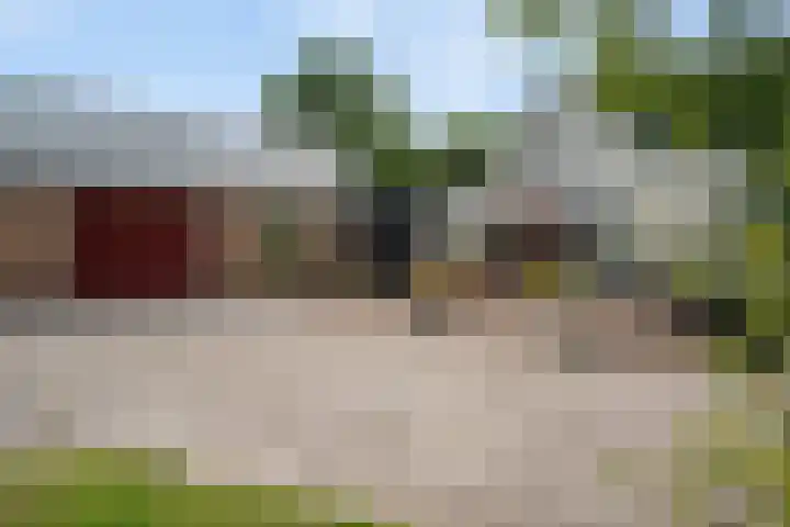 Koekoeksweg 14 Dwingeloo thumbnail 35