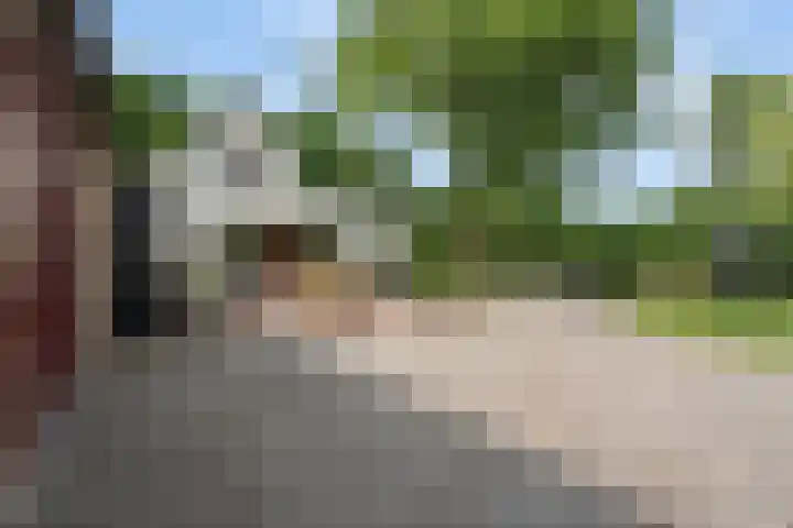 Koekoeksweg 14 Dwingeloo thumbnail 36