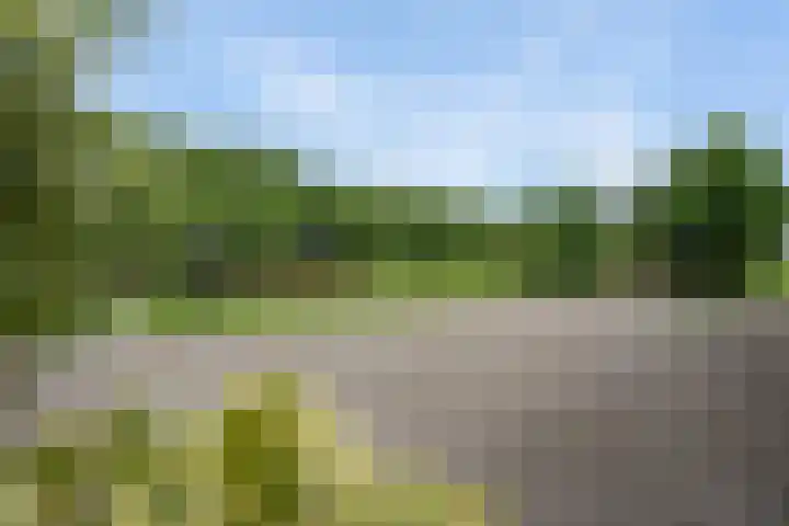 Koekoeksweg 14 Dwingeloo thumbnail 37