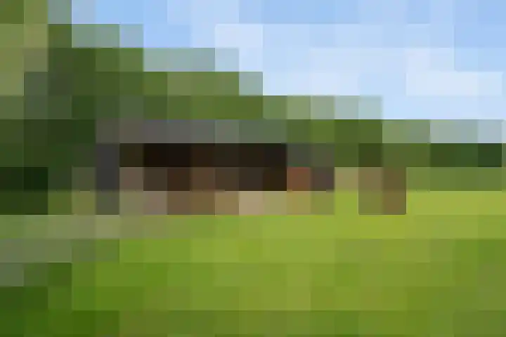 Koekoeksweg 14 Dwingeloo thumbnail 38