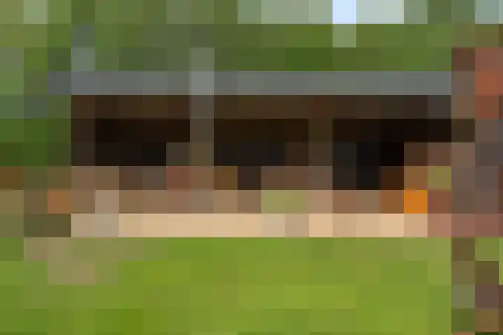 Koekoeksweg 14 Dwingeloo thumbnail 39