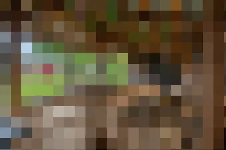 Koekoeksweg 14 Dwingeloo thumbnail 41