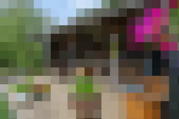 Koekoeksweg 14 Dwingeloo thumbnail 42