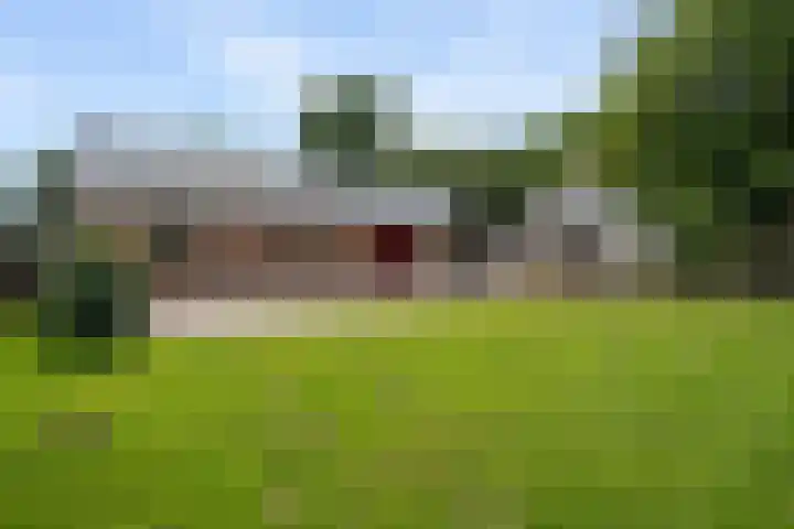 Koekoeksweg 14 Dwingeloo thumbnail 45