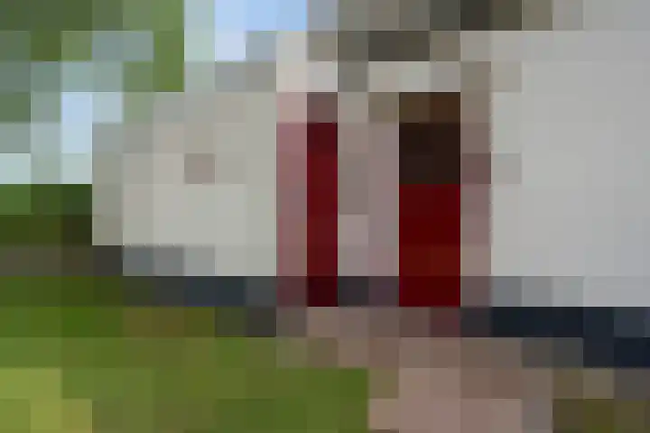 Koekoeksweg 14 Dwingeloo thumbnail 5