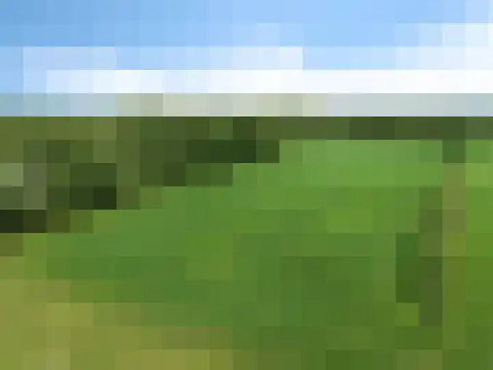 Koekoeksweg 14 Dwingeloo thumbnail 50