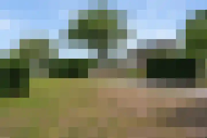 Koekoeksweg 14 Dwingeloo thumbnail 56