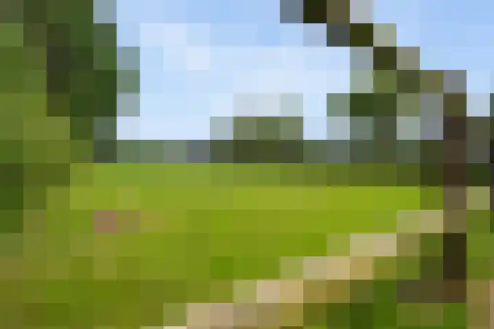 Koekoeksweg 14 Dwingeloo thumbnail 58