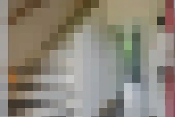 Koekoeksweg 14 Dwingeloo thumbnail 6