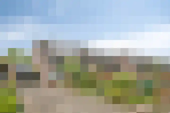 Koekoeksweg 3 Dwingeloo
