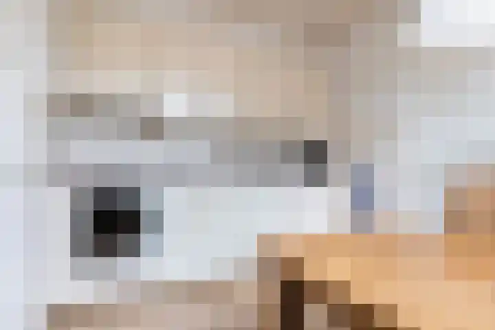 Koekoeksweg 8 Vaassen thumbnail 17