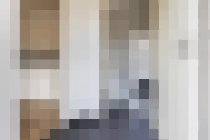 Koekoeksweg 8 Vaassen thumbnail 18