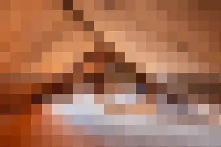 Koekoeksweg 8 Vaassen thumbnail 30
