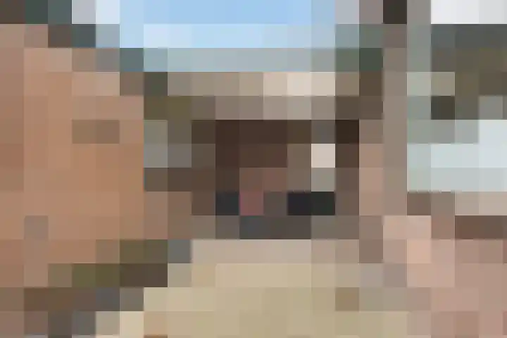 Koekoeksweg 8 Vaassen thumbnail 35