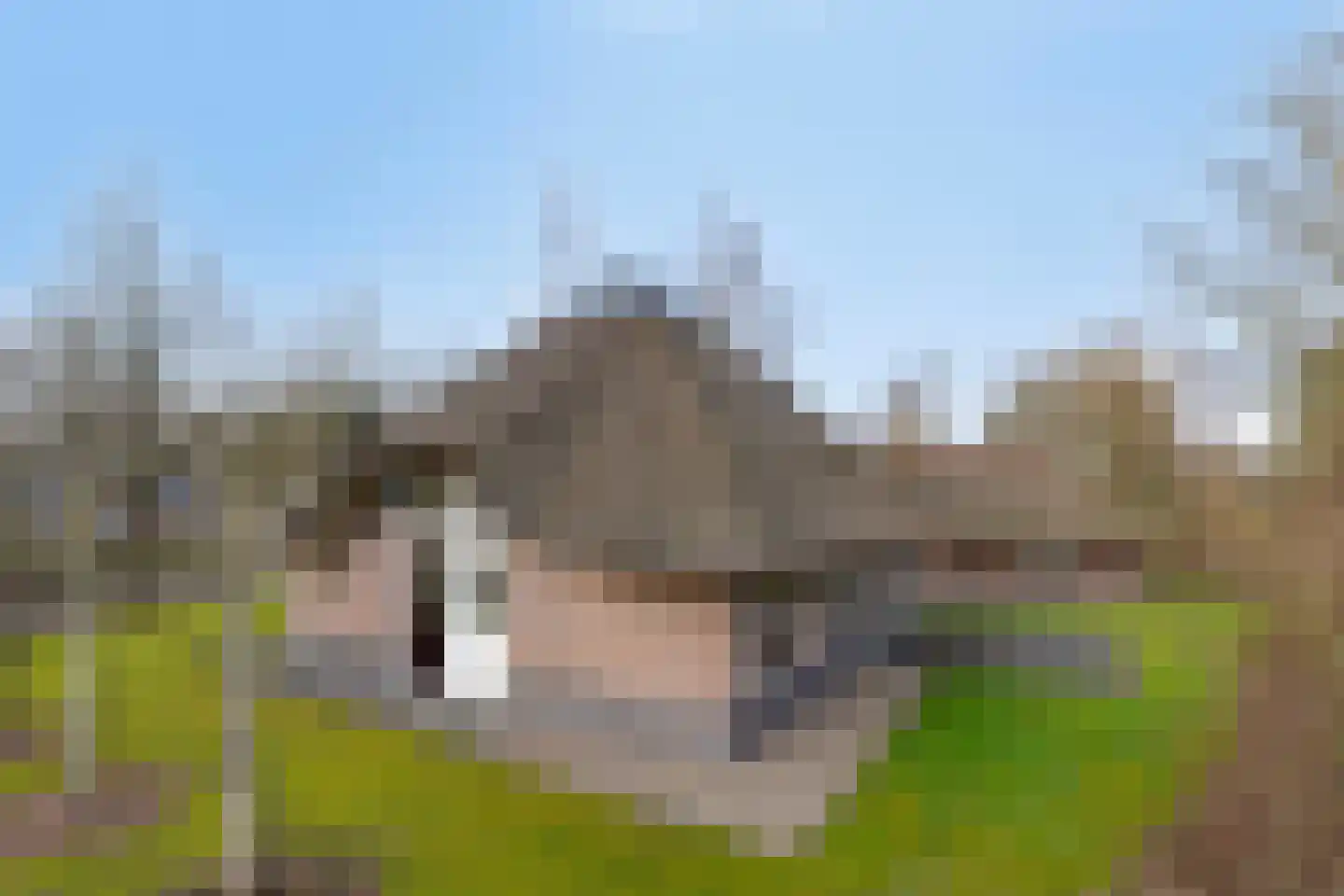 Koele 11 Appelscha thumbnail 24
