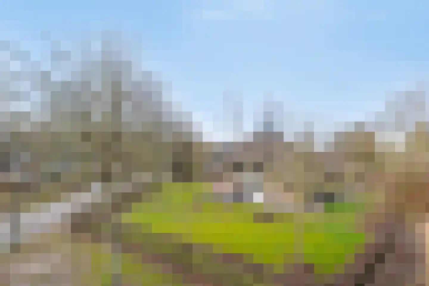 Koele 11 Appelscha foto 3