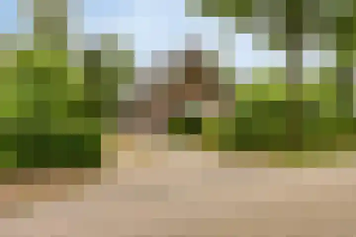 Koele 5 Appelscha