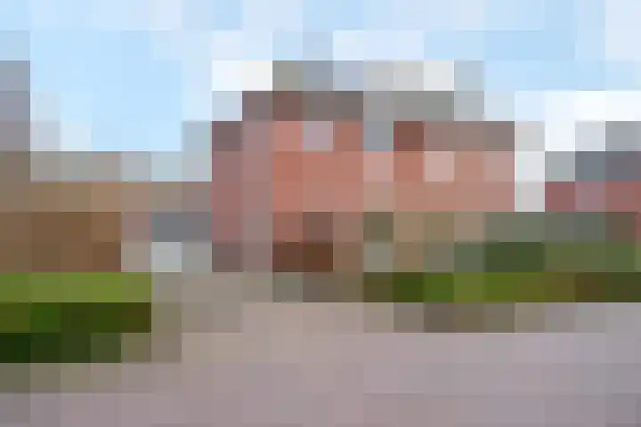 Koelgoorn 21 Diever