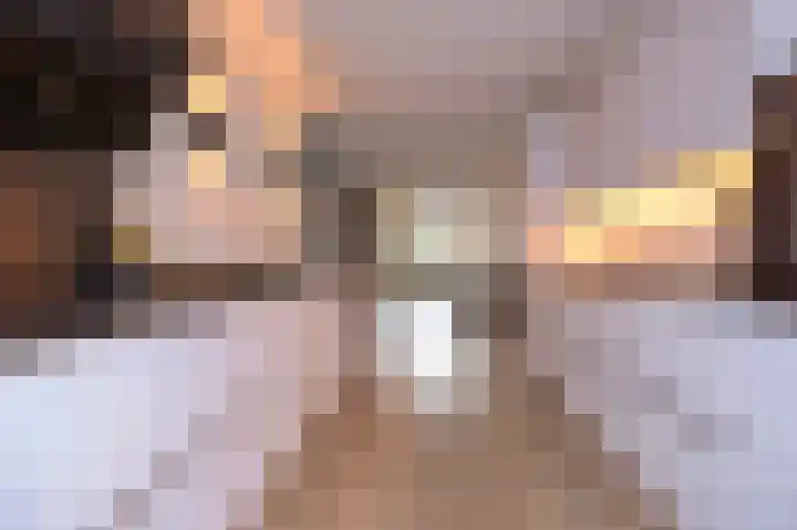 Koelgoorn 21 Diever thumbnail 11