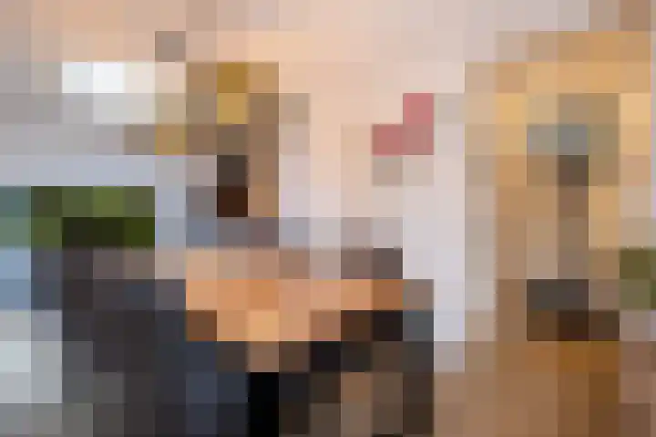 Koelgoorn 21 Diever thumbnail 14