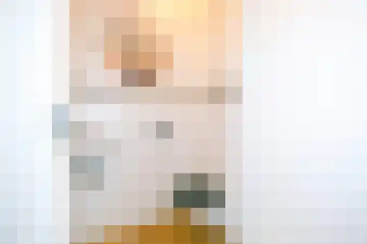 Koelgoorn 21 Diever thumbnail 18