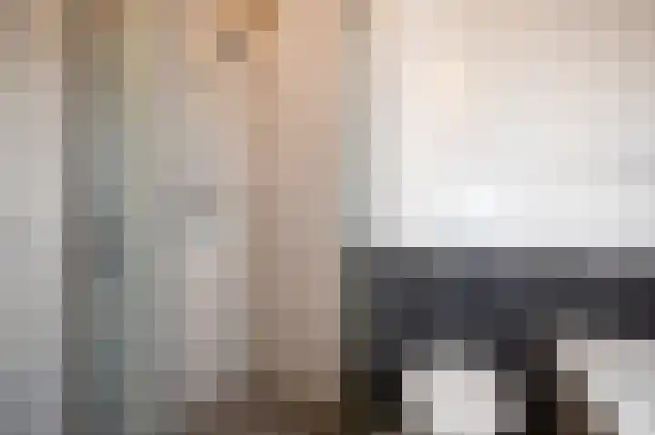 Koelgoorn 21 Diever thumbnail 22
