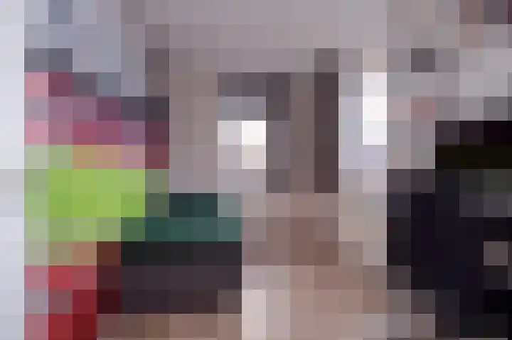 Koelgoorn 21 Diever thumbnail 24