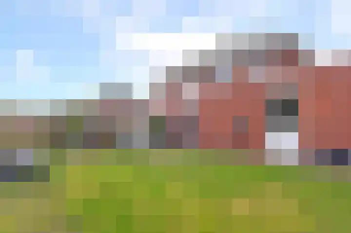 Koelgoorn 21 Diever thumbnail 37