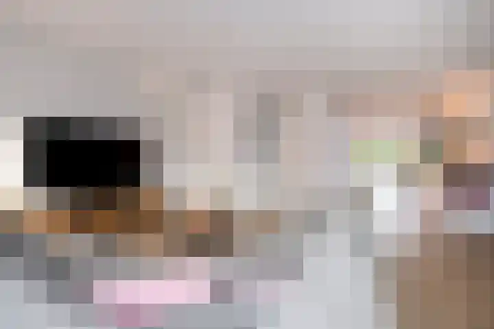 Koelgoorn 21 Diever thumbnail 6