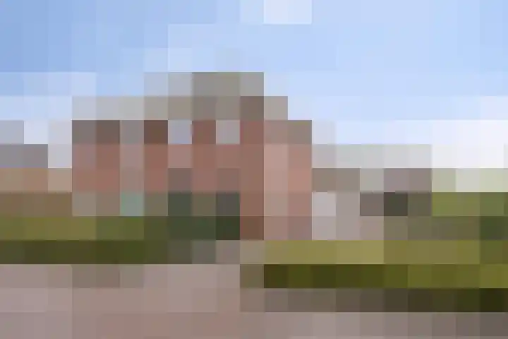 Koelgoorn 23 Diever