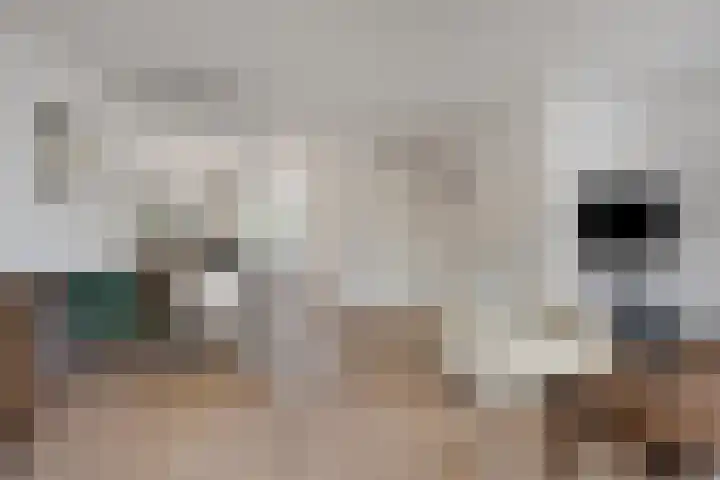 Koelgoorn 23 Diever thumbnail 11