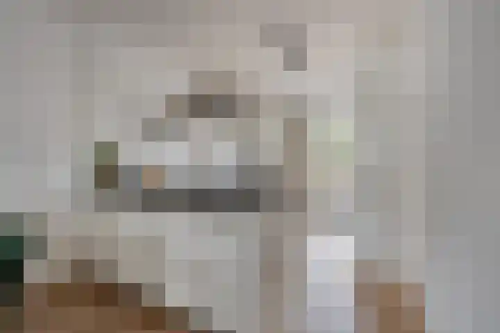 Koelgoorn 23 Diever thumbnail 13