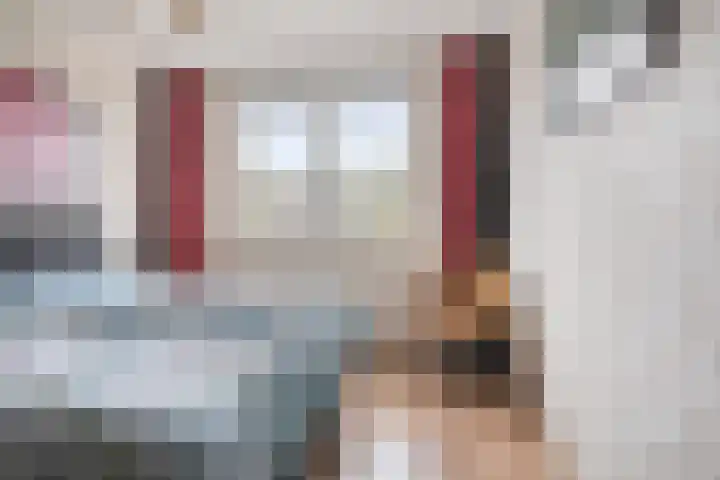 Koelgoorn 23 Diever thumbnail 17