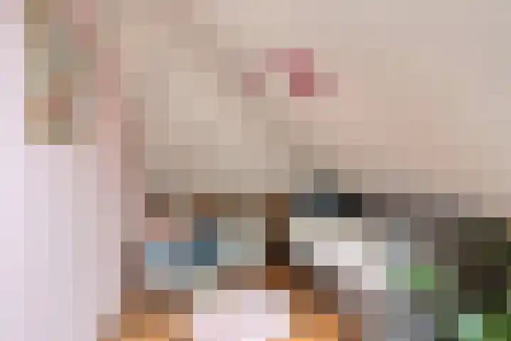 Koelgoorn 23 Diever thumbnail 27