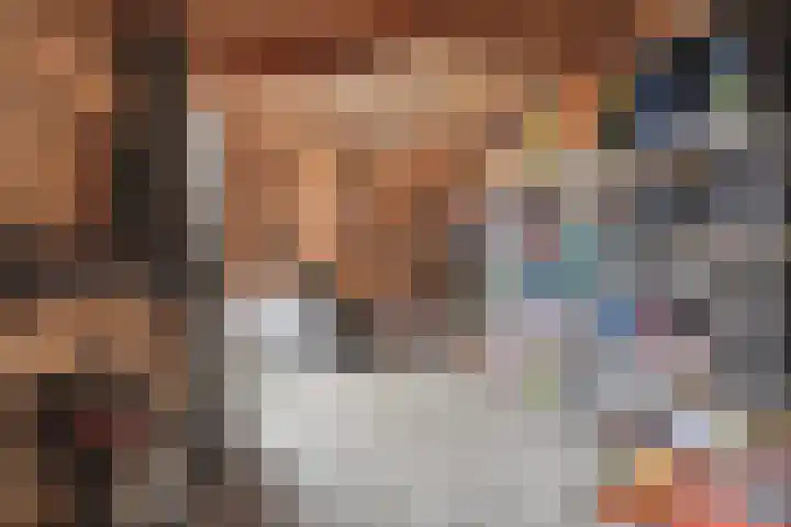 Koelgoorn 23 Diever thumbnail 31