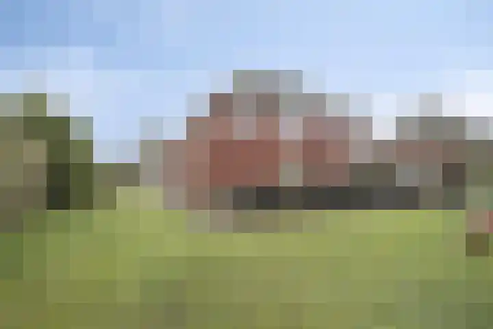 Koelgoorn 23 Diever thumbnail 32
