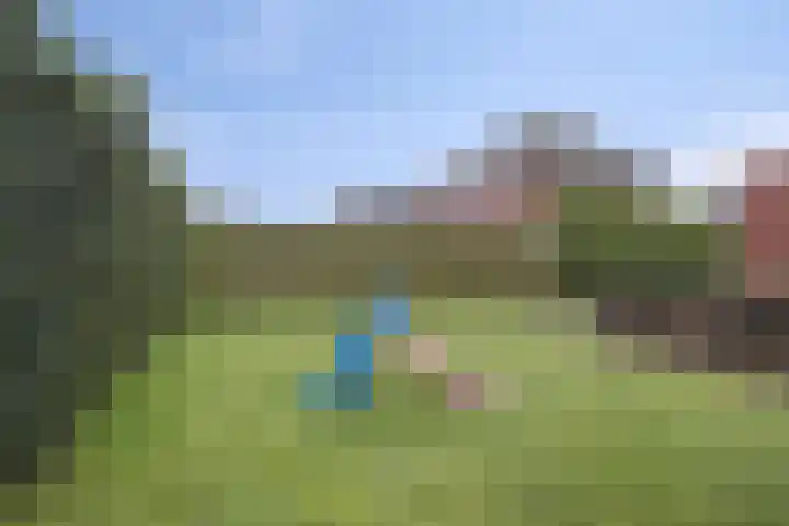Koelgoorn 23 Diever thumbnail 35