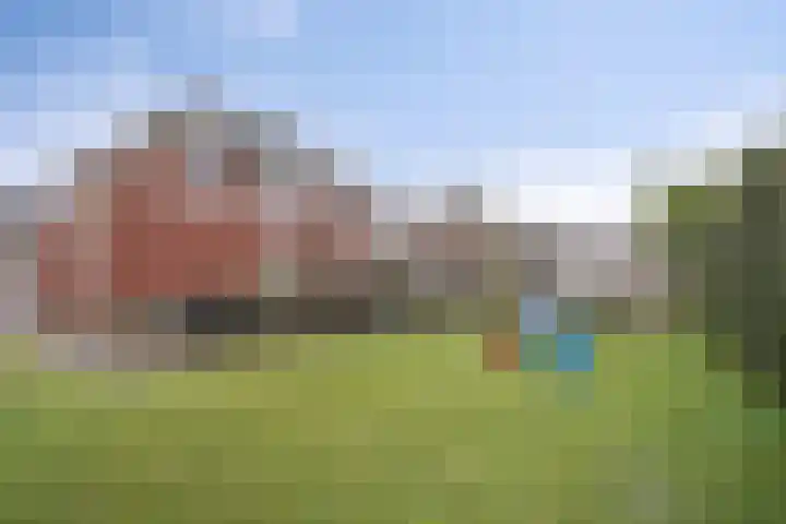 Koelgoorn 23 Diever thumbnail 4
