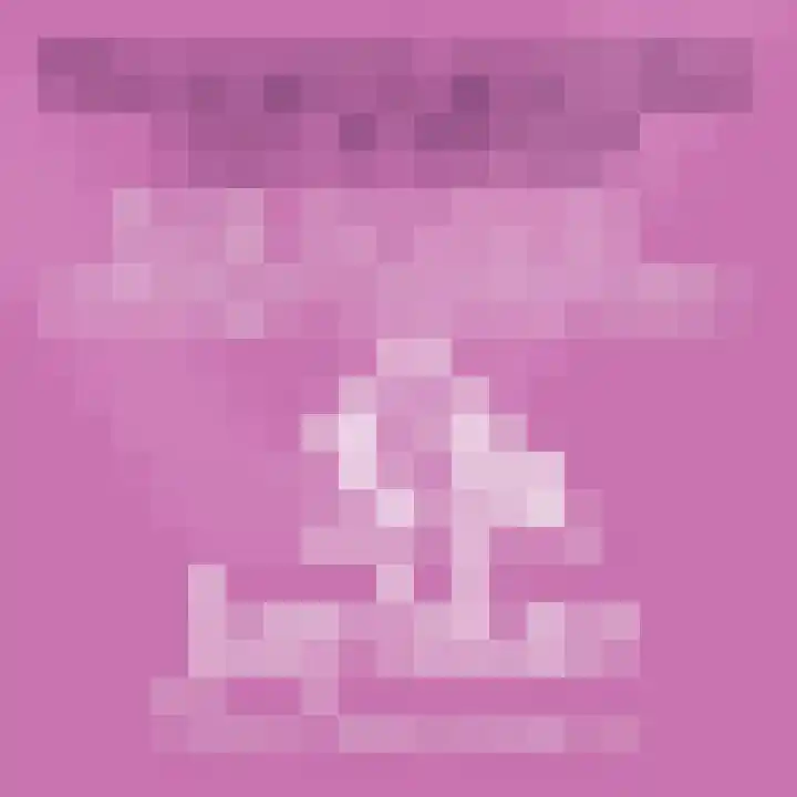 Koelgoorn 23 Diever thumbnail 5
