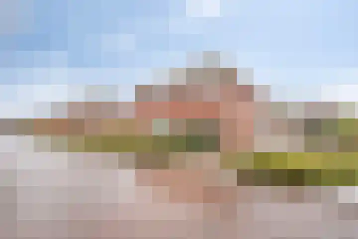 Koelgoorn 23 Diever thumbnail 6