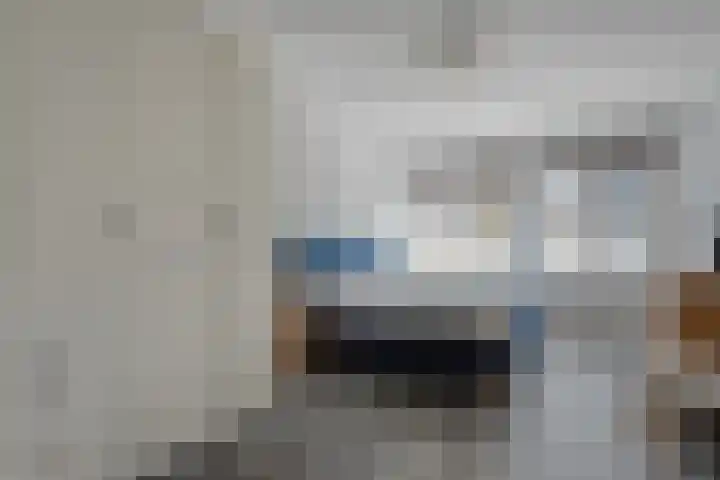 Koelgoorn 44 Diever thumbnail 17