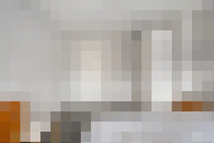 Koelgoorn 44 Diever thumbnail 18