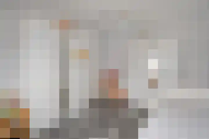 Koelgoorn 44 Diever thumbnail 22