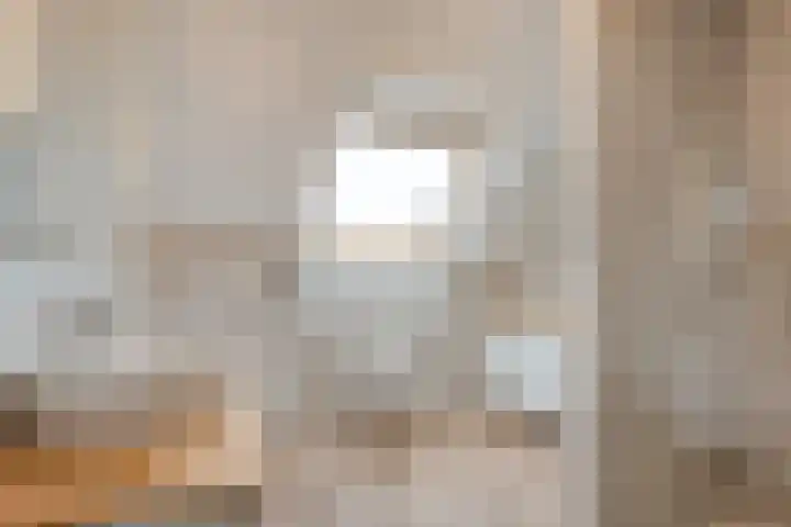 Koelgoorn 44 Diever thumbnail 23