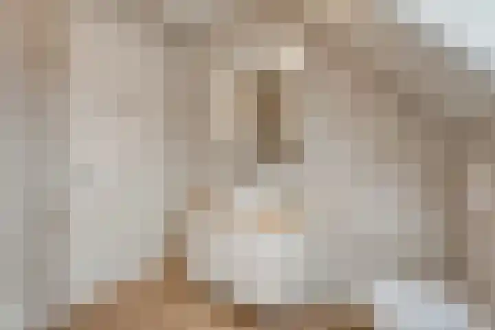 Koelgoorn 44 Diever thumbnail 24