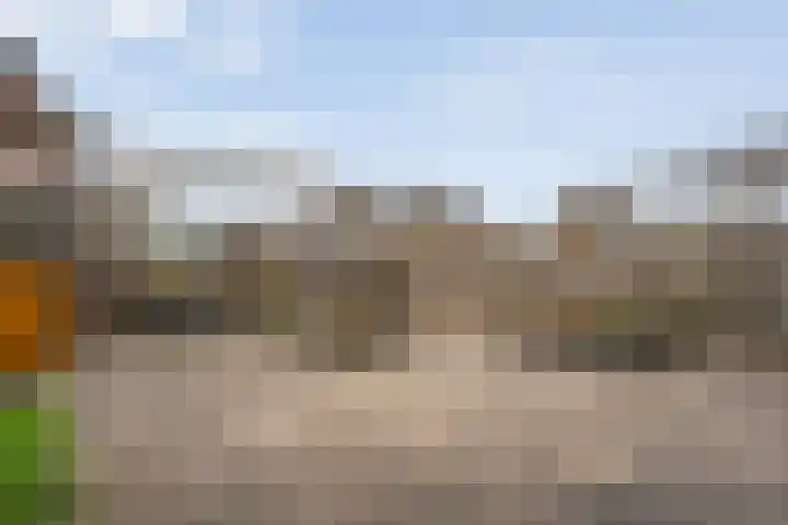 Koelgoorn 44 Diever thumbnail 30