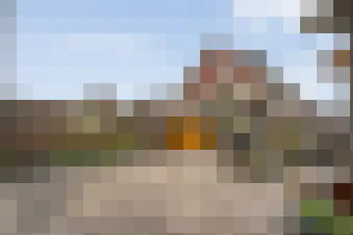 Koelgoorn 44 Diever thumbnail 31