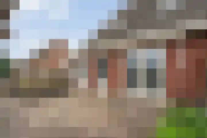 Koelgoorn 44 Diever thumbnail 33