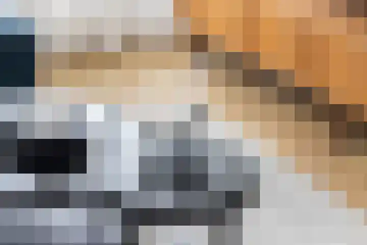 Koelgoorn 44 Diever thumbnail 34