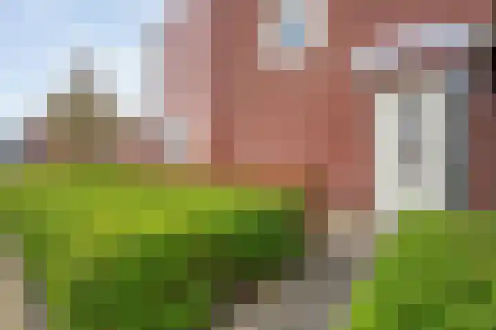 Koelgoorn 44 Diever thumbnail 40
